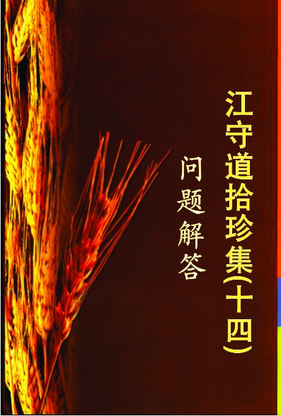 拾珍集14：问题解答封面