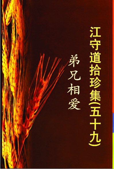 拾珍集59：兄弟相爱封面